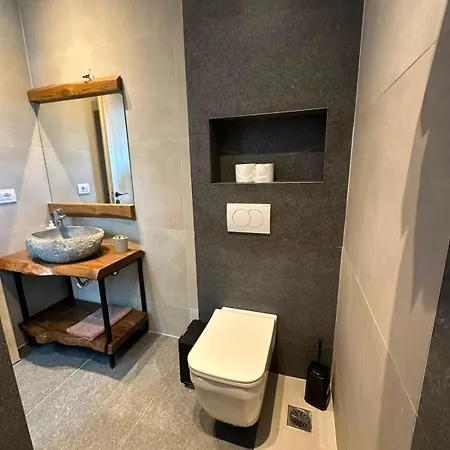 Apartment Androniki *